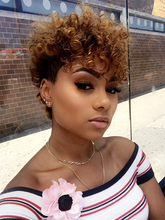 Load image into Gallery viewer, Fluffy Curly Short Hair Fashion Stylish Lady Wig