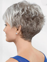 Load image into Gallery viewer, Gradient Daily High Temperature Wire Wigs