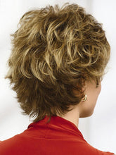 Load image into Gallery viewer, Fluffy Rose Net Temperament Wig
